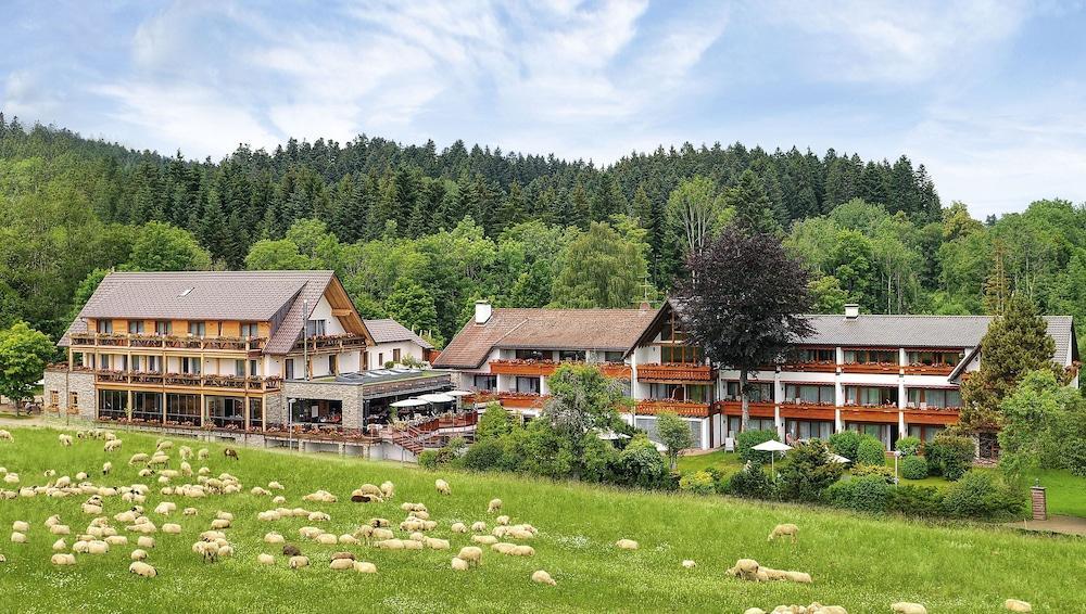 Hotel Gruener Wald فرودنستاد المظهر الخارجي الصورة