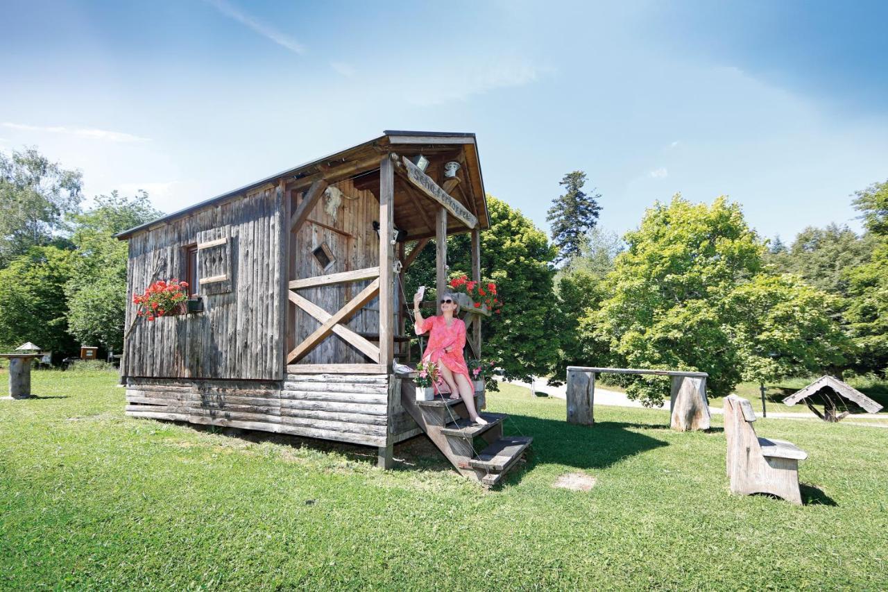 Hotel Gruener Wald فرودنستاد المظهر الخارجي الصورة