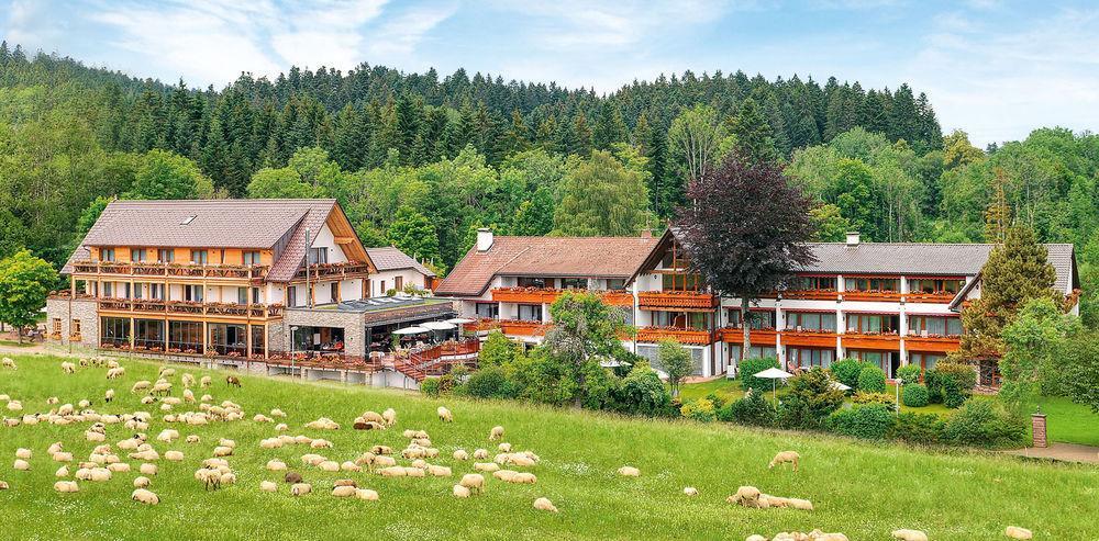 Hotel Gruener Wald فرودنستاد المظهر الخارجي الصورة