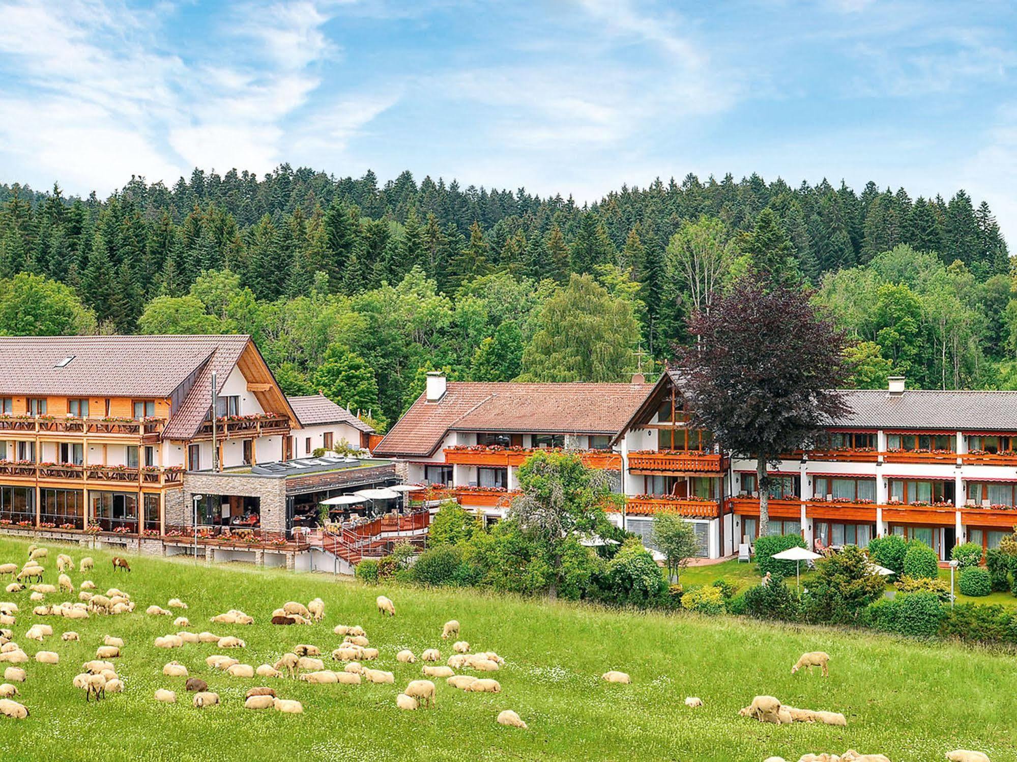 Hotel Gruener Wald فرودنستاد المظهر الخارجي الصورة