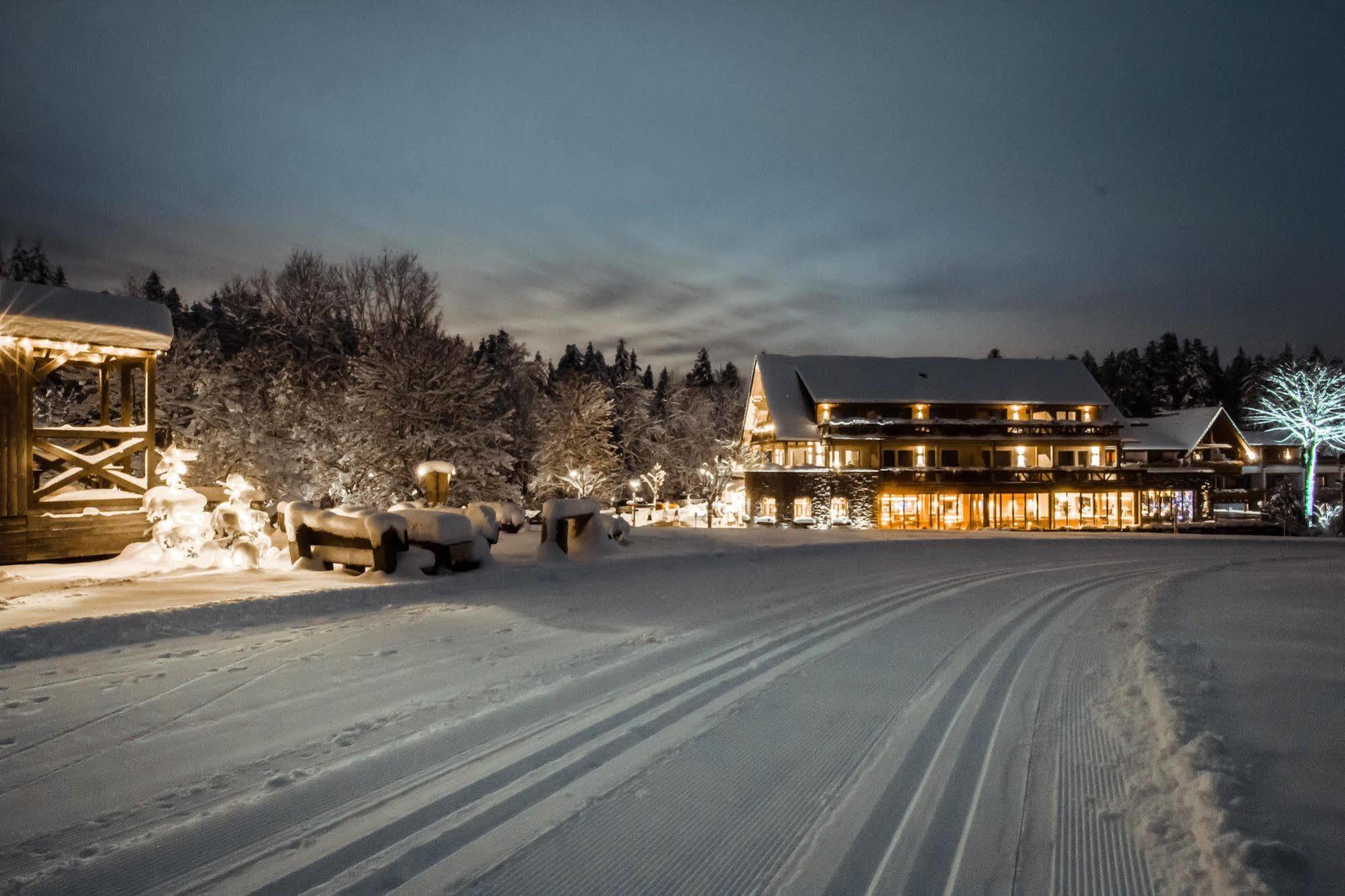Hotel Gruener Wald فرودنستاد المظهر الخارجي الصورة